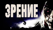 Аудиокнига Зрение