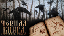 Аудиокнига Чёрная книга Дикого леса