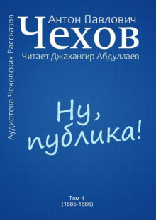 Аудиокнига Ну, публика!