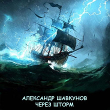 Аудиокнига Через шторм