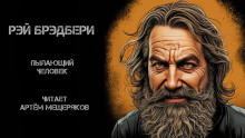 Аудиокнига Пылающий человек