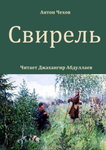 Аудиокнига Свирель