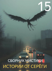 Аудиокнига Истории от Серёги №15