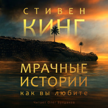 Аудиокнига Мрачные истории, как вы любите
