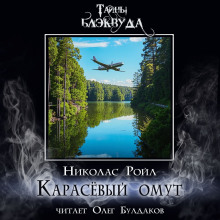 Аудиокнига Карасёвый омут