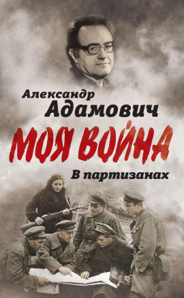 Аудиокнига В партизанах