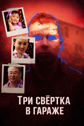 Аудиокнига Три свёртка в гараже