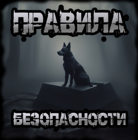 Аудиокнига Правила безопасности