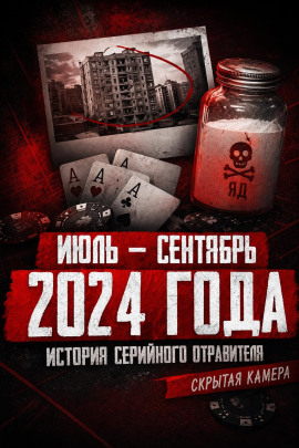 Аудиокнига Карусель безумия